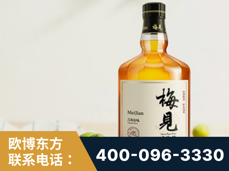 抚顺-梅见青梅酒