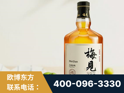 抚顺-梅见青梅酒